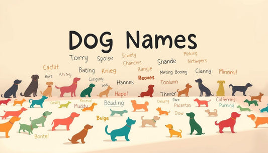 Die besten Hundenamen für deinen neuen Hund: Kreative und lustige Ideen