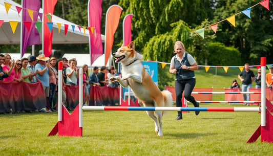 Anleitung zum Hunde Freestyle - Tipps & Tricks